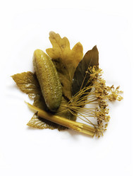 Similar image 5925673