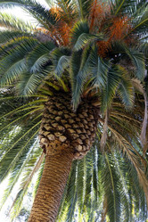 Similar image 5925684