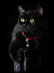 Similar image 5925689