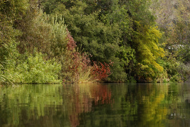 Similar image 5925706