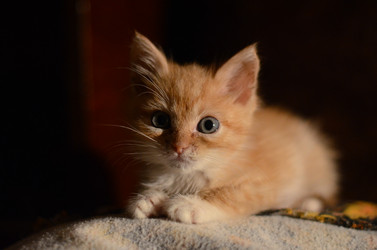 Similar image 5925743