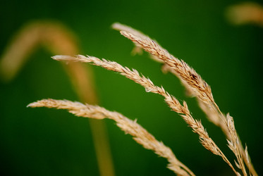 Similar image 5925757