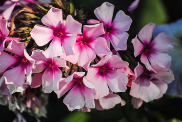 Similar image 5925758