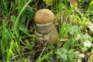 Similar image 5925801