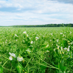 Similar image 5925875