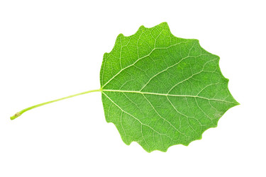 Similar image 5925903