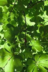 Similar image 5925929