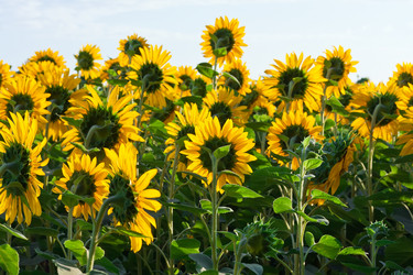 Similar image 5925948