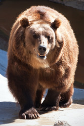 Similar image 5925984