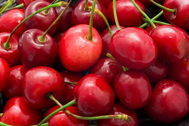 Similar image 5925990