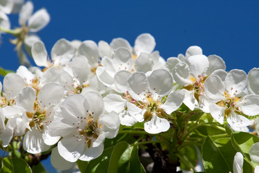 Similar image 5925997