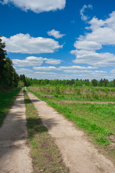 Similar image 5926004