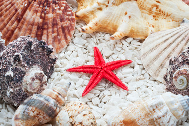 Similar image 5926011