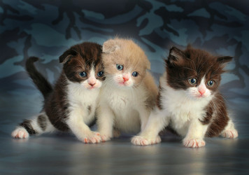 Similar image 5926037