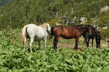 Similar image 5926041