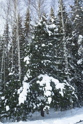 Similar image 5926063