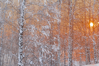 Similar image 5926083