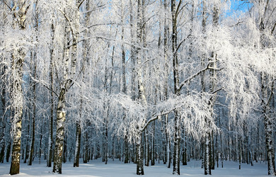 Similar image 5926282