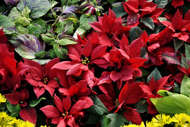 Similar image 5926296