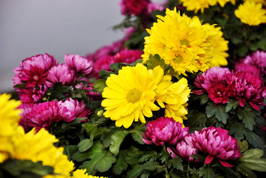 Similar image 5926297