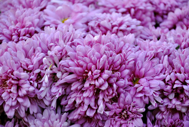 Similar image 5926298