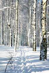 Similar image 5933852