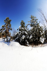 Similar image 5933853