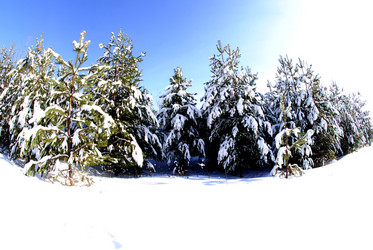 Similar image 5933854