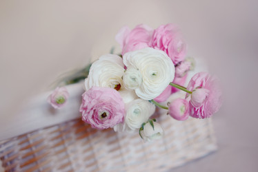 Similar image 5933863