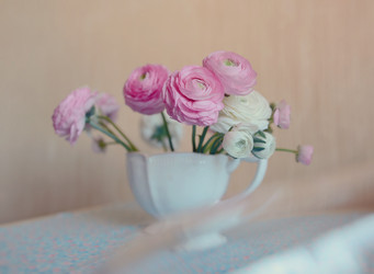 Similar image 5933886