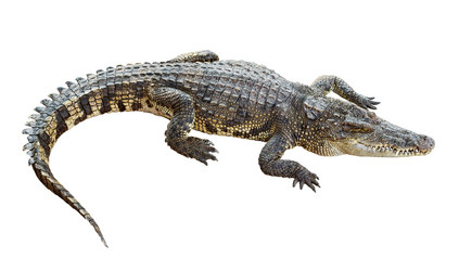 Similar image 5933895