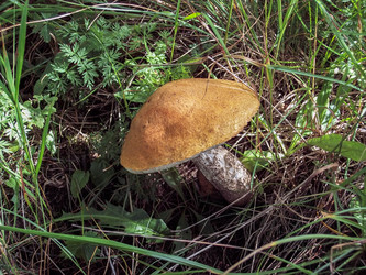 Similar image 5934041