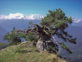 Similar image 5934043