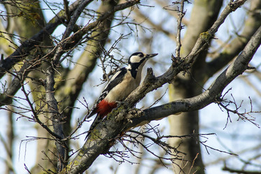 Similar image 5934066