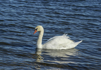 Similar image 5934067