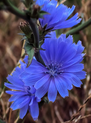 Similar image 5934110