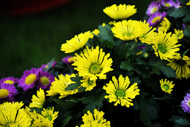 Similar image 5934142