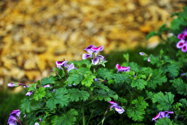 Similar image 5934143