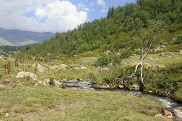 Similar image 5934151