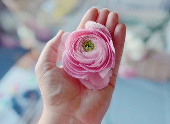 Similar image 5934230