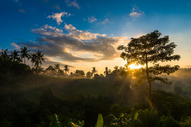 Similar image 5934237