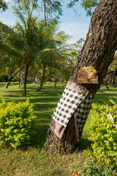 Similar image 5934242