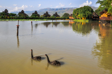 Similar image 5934326