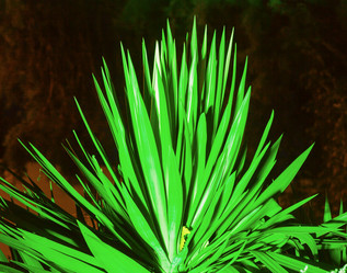 Similar image 5934384