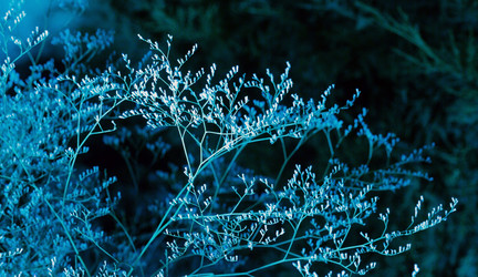 Similar image 5934385