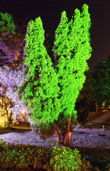 Similar image 5934387