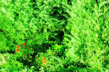 Similar image 5934388