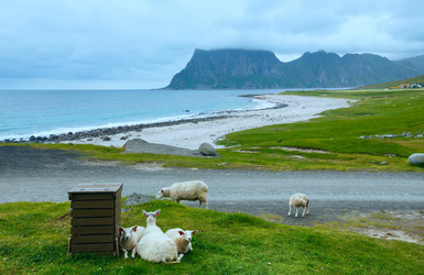 Similar image 5934430