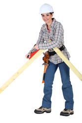 Similar image 5935003