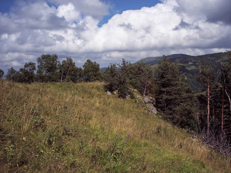 Similar image 5935011